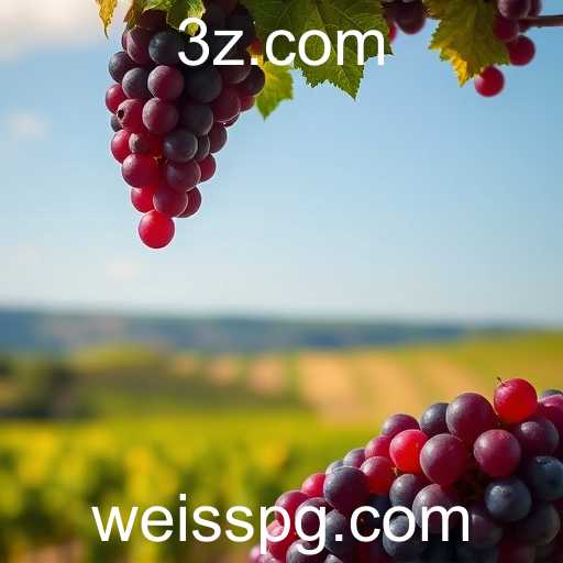 Weiss Mania: Tendências e Inovações no Mundo dos Jogos